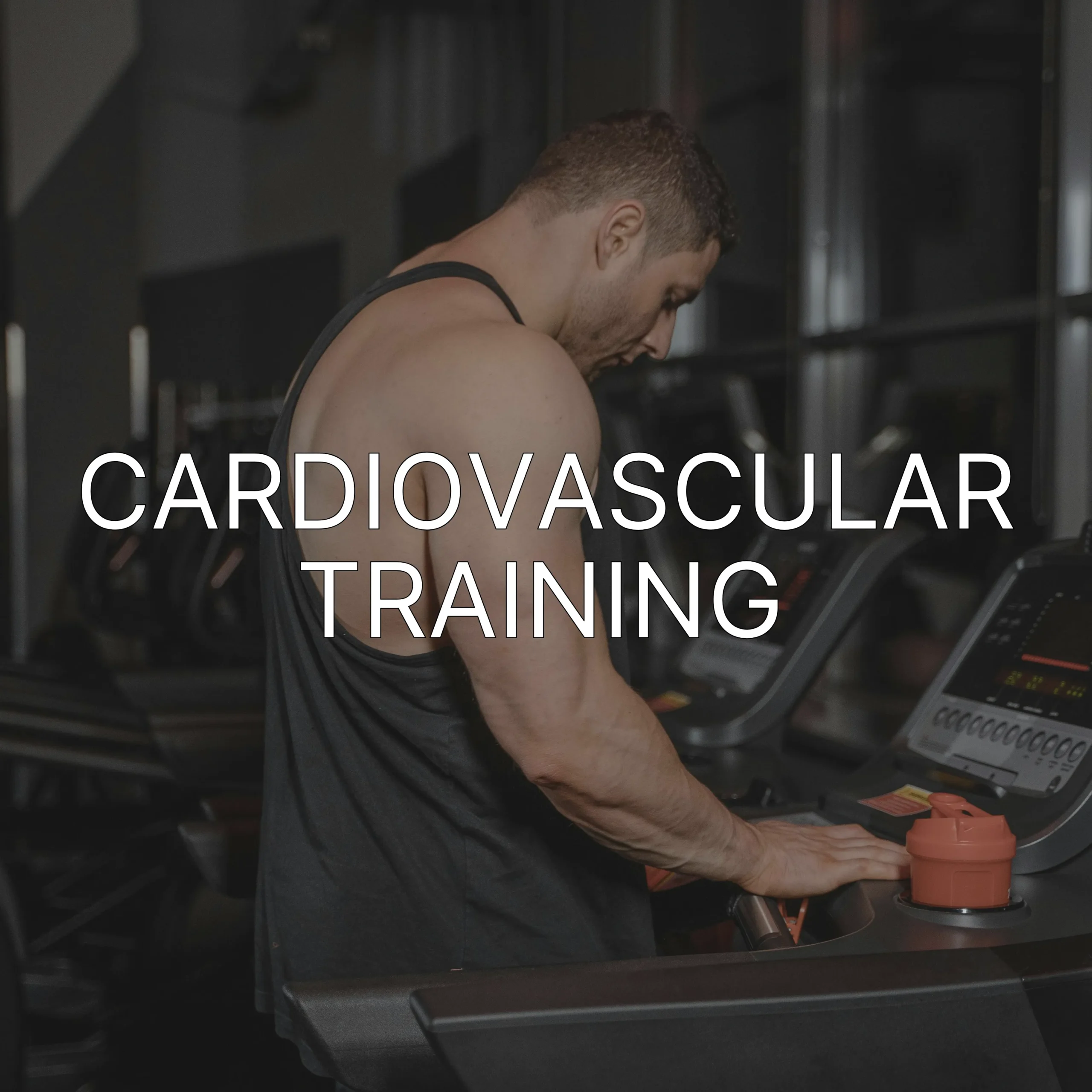 Cardiovascular Training